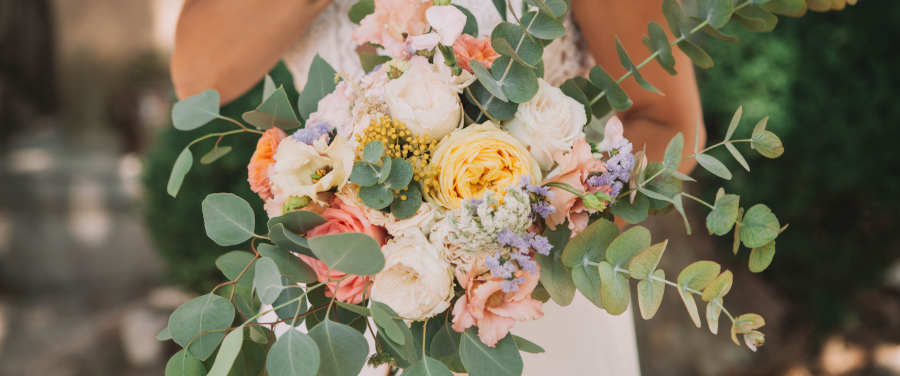 Image du mariage de Elodie et Thibaud