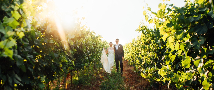 Des mariés posent dans des vignes au soleil couchant
